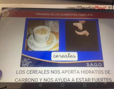 UNIDAD DIDACTICA DE LOS ALIMENTOS