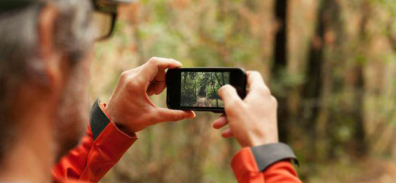 Concurso de Fotogrfía