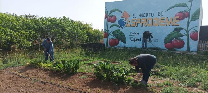 Huerto ecológico