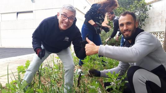 Colaboración con Asociación Despierta
