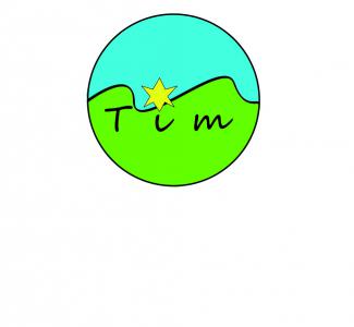 LOGO TIM