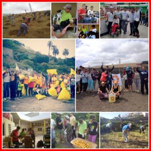 "Incluidos" Acciones Voluntarias