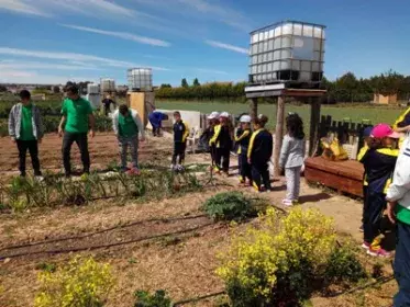 Equipo Verde: aprender enseñando. 