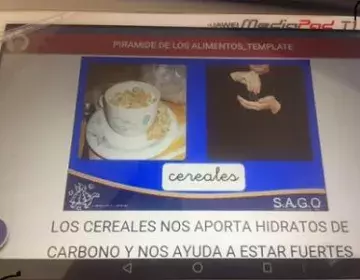 UNIDAD DIDACTICA DE LOS ALIMENTOS