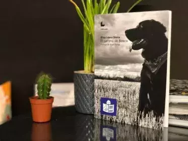 Portada de El Camino de Bosco